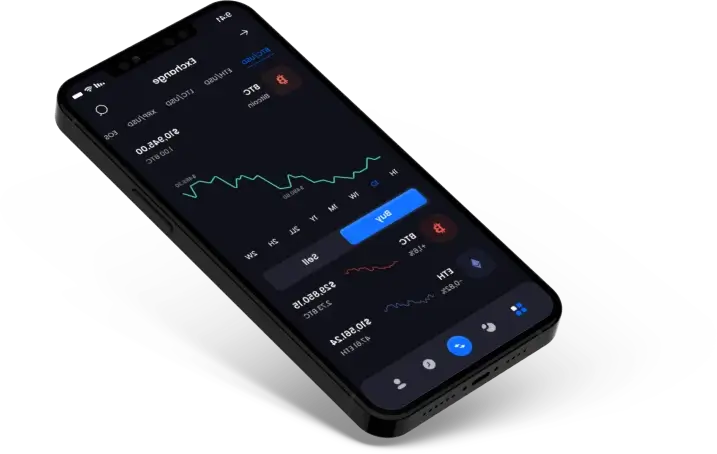 Balance Qyral - Enhance Financial Accessibility with Balance Qyral